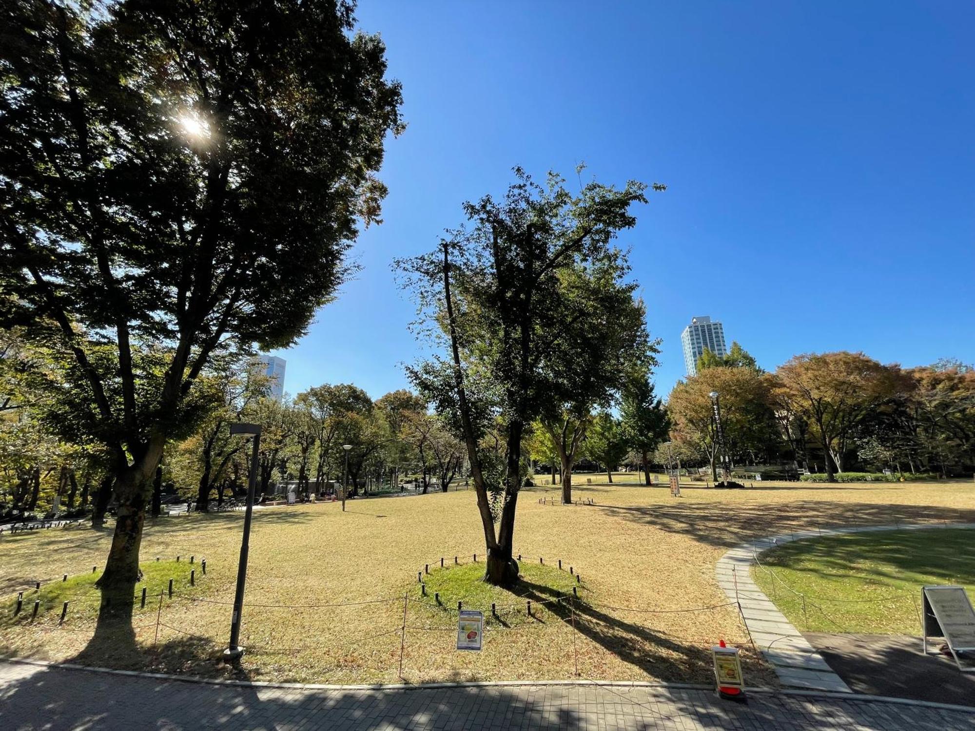 Max4People Shinjuku 7Minutes Shibuya12 Minutes 5Minutes Walk From Hatsudai Station Leon Resort Shibuya Tokyo Luaran gambar